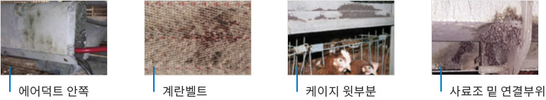 닭진드기 서식처